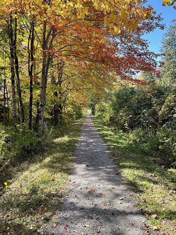 Greenway Oct 2022 (1)